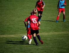 乐鱼体育-鹿岛鹿角球队目标明确，誓夺世俱杯最高荣誉