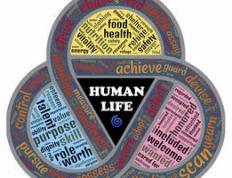 乐鱼app-摩洛哥瓦赫达新援适应良好，世俱杯表现备受期待