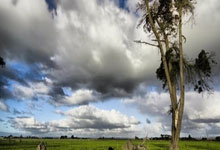 乐鱼-帕尔梅拉斯新星爆发，挑战蒙特雷防线坚固