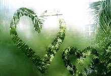 乐鱼体育-阿尔希拉尔主场迎战鹿岛鹿角，锋线火力引爆看点