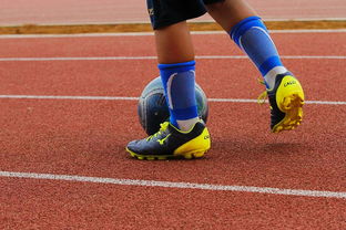 乐鱼官网-帕尔梅拉斯防守体系稳固,力求半决赛再创佳绩