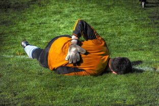 乐鱼体育app-蒙特雷阵中多名球员状态回暖,备战充满信心