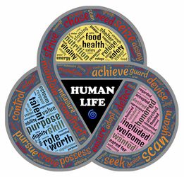 乐鱼app-摩洛哥瓦赫达新援适应良好，世俱杯表现备受期待