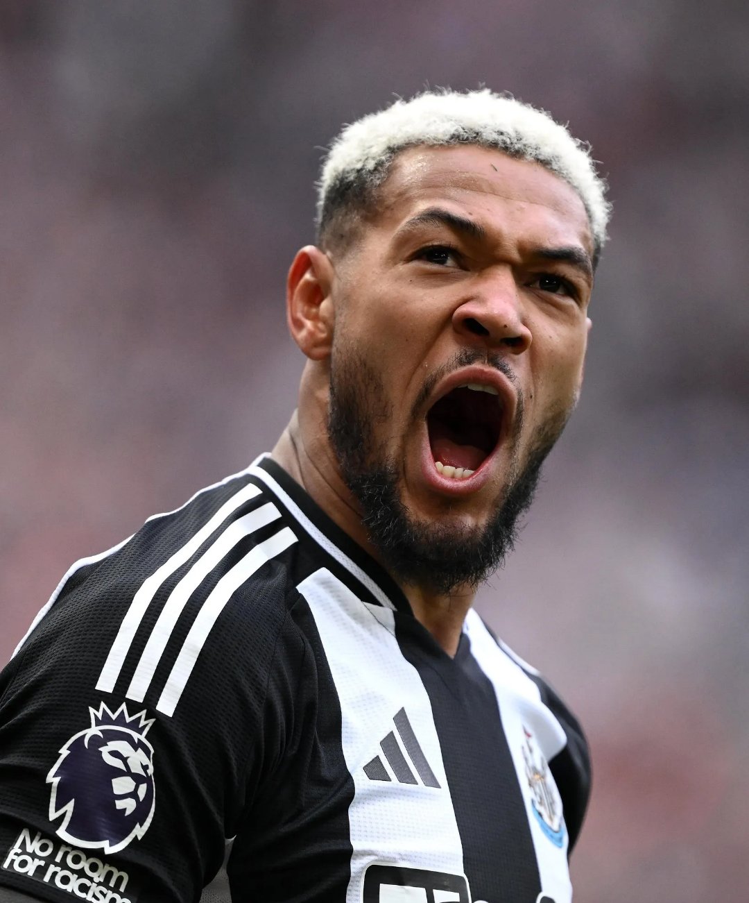 乐鱼体育app-纽卡斯尔联队再次败北,保级形势堪忧的简单介绍